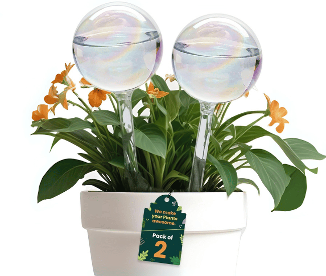 Plant Watering Globes